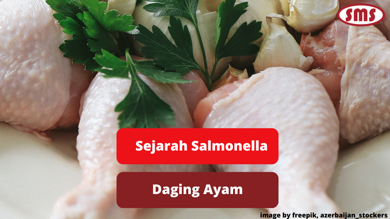Berikut Ini Ulasan Kilas Sejarah Kasus Salmonella Daging Ayam